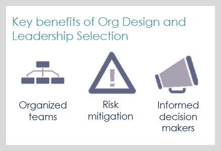 Carve-Out Organization Design & Leadership Selection 1